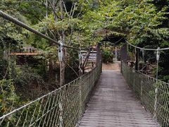 -海南热带雨林国家公园吊罗山景区