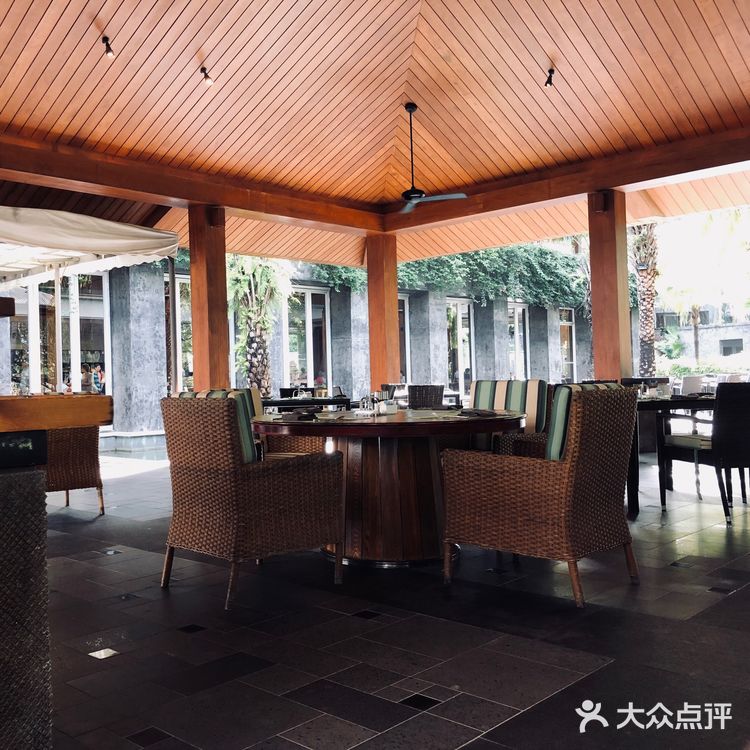 拳头一样大的蜗牛