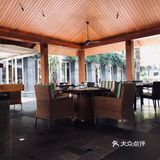 拳头一样大的蜗牛