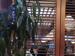 -云海肴云南菜(曲江大悦城店)