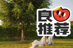 -金夫人婚纱摄影(华南店)