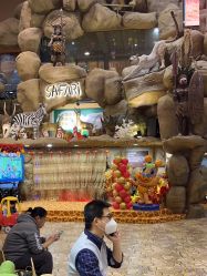 -卡通尼·Safari非洲探索乐园·生日会(金桥国际商业广场店)