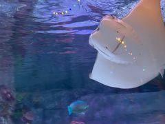 -沈阳海洋探索中心