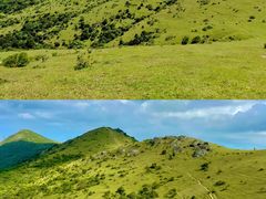 -大姆山草场