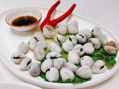 白灼血蛤-小厨师·二十年沈家门小海鲜(百井坊巷店)