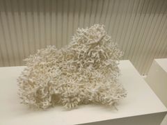 -青岛贝壳博物馆