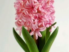 -洛阳周王城天子驾六博物馆