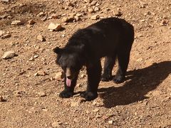-泉州海丝野生动物世界