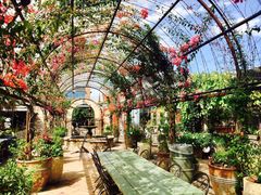 -The Grounds of Alexandria