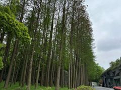 -上海月湖雕塑公园