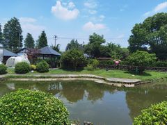 -灶头屋里