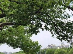 -东湖景区