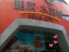 -鹏欣水游城