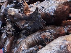 -老字号周记古蔺麻辣鸡·非物质文化遗产传承店