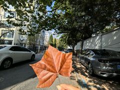-黑石礁公园