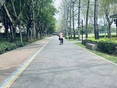 -顺峰山公园