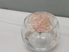 -眉州东坡(亚运村店)