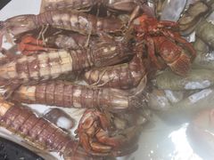 -苏大嘴海鲜牧场(奥林匹克店)
