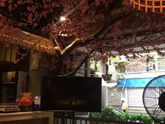 -香坝坝鲜鱼火锅(春熙路店)