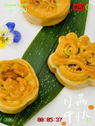 -安琪朵朵独栋花园月子中心