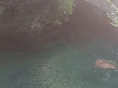 -杭州雅谷泉山庄酒店-餐厅