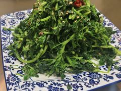 -梁师抿夹王(金阳光店)