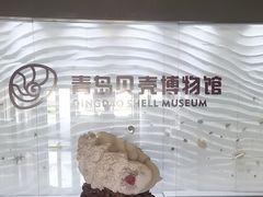-青岛贝壳博物馆