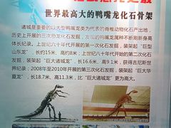 -诸城市恐龙博物馆