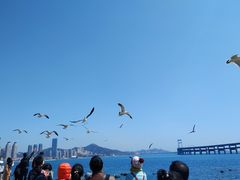 -黑石礁公园