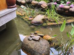 -小隐院子·庭院餐厅(大学城后湖店)