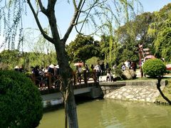 -上海鲜花港