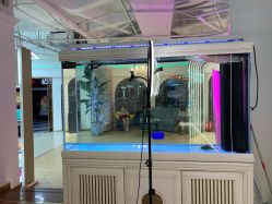 -BULB STUDIO 巴柏明星发型工作室