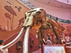 -陕西自然博物馆