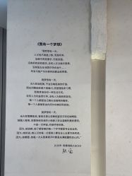 -智美品质医美