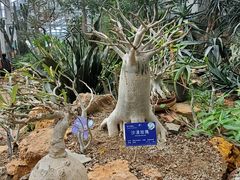 -国家植物园南园