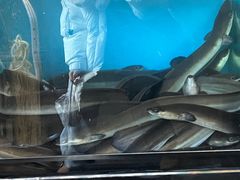 -味家烤肉烤鳗鱼牛排(西塔旗舰店)