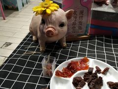 -爪哇空气酒吧