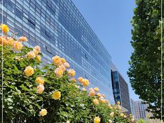 -北京晚报·北京日报社
