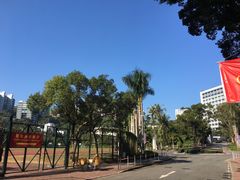 -香港大学
