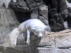 -郑州海洋馆