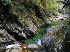 -祁门牯牛降观音堂风景区