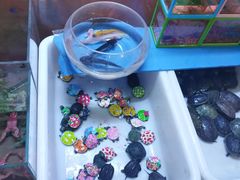 -双季花艺园艺市场(浦东店)