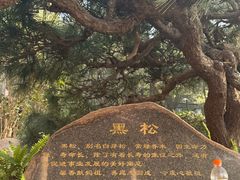-莆田湄洲妈祖祖庙