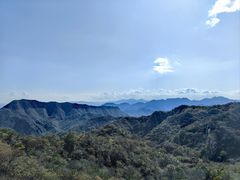 -大岭沟猕猴桃谷风景区