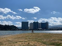 -洱海月湿地公园