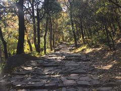 -阳台山自然风景区