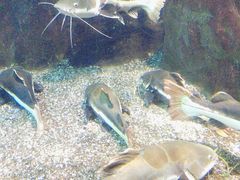 -太平洋海底世界