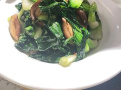 -河畔春天时尚餐厅