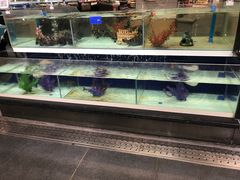 水产区-盒马鲜生(新都心店)