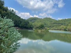 -广州白江湖森林公园